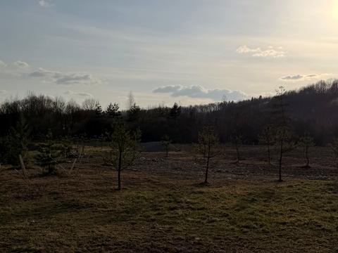 участок по адресу урочище Луги