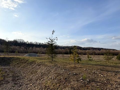 участок по адресу урочище Луги