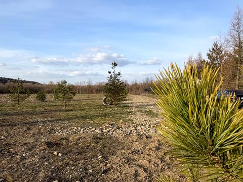 участок по адресу урочище Луги