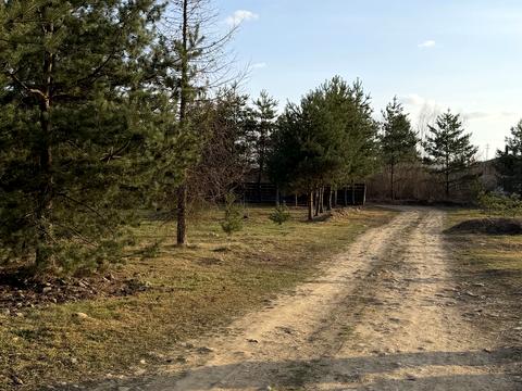 участок по адресу урочище Луги