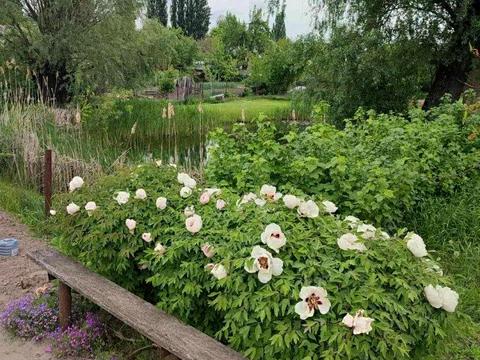 участок по адресу Оболонская ул.