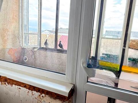 квартира по адресу Берегівська ул., 64