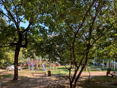 квартира за адресою Івана Миколайчука вул., 15