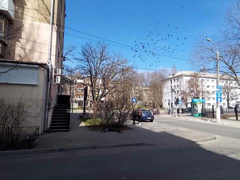 комерційна за адресою Тіниста вул., 2а