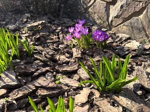 будинок за адресою Барвінкова вул.