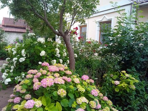 будинок за адресою Йозефа Прибіка вул.