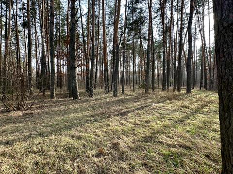 будинок за адресою Руданського Степана