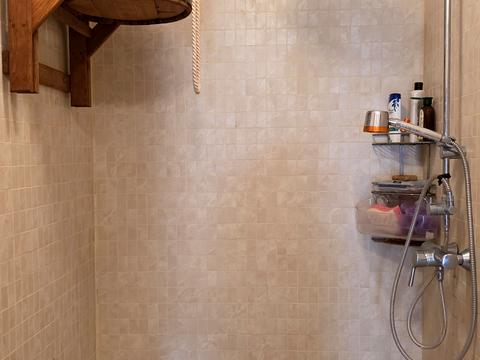 дом по адресу Пролисок ул.