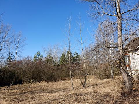 участок по адресу с. Вишенки, 