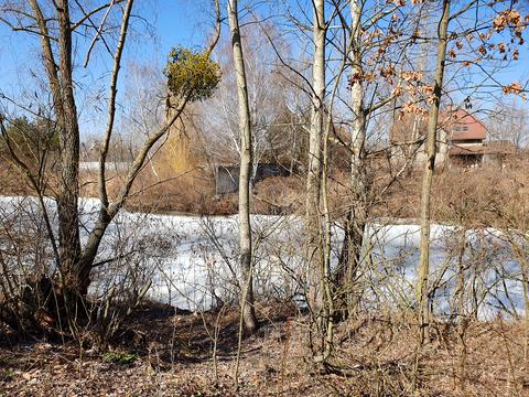 участок по адресу с. Вишенки, 