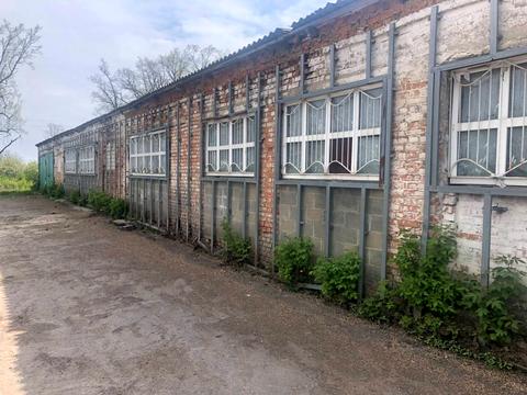 комерційна за адресою Колгоспна, 2в