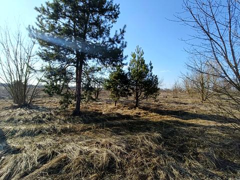 участок по адресу 