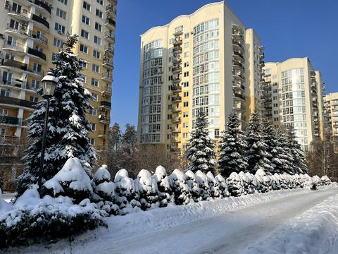 коммерческая по адресу Валерия Лобановского ул., 30б