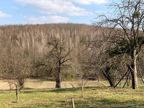 будинок за адресою Козаки, 31