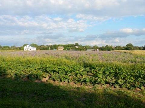 ділянка за адресою 