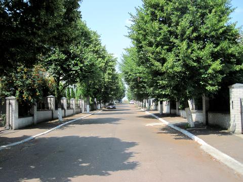 ділянка за адресою Зоряна вул.