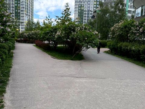 квартира за адресою Вишгородська вул., 45