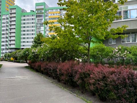 квартира за адресою Вишгородська вул., 45