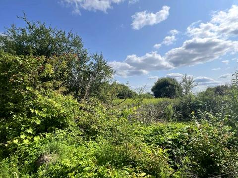 ділянка за адресою Кишова, 21