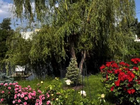 ділянка за адресою Садова вул., 56