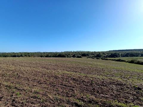 участок по адресу неподалік КМ Барселона