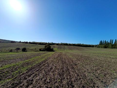 ділянка за адресою неподалік КМ Барселона