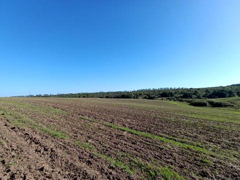 участок по адресу неподалік КМ Барселона