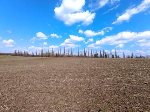 ділянка за адресою неподалік КМ Барселона