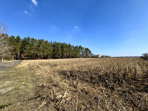 ділянка за адресою Мічуріна