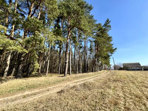 ділянка за адресою Мічуріна