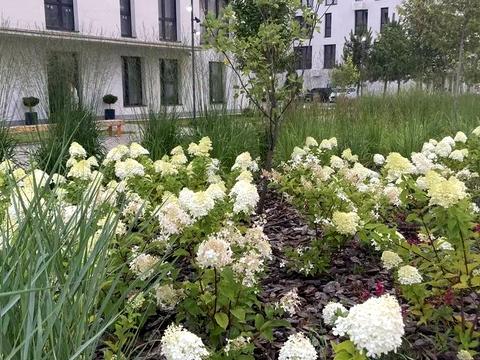 квартира по адресу Августина Волошина ул., 24