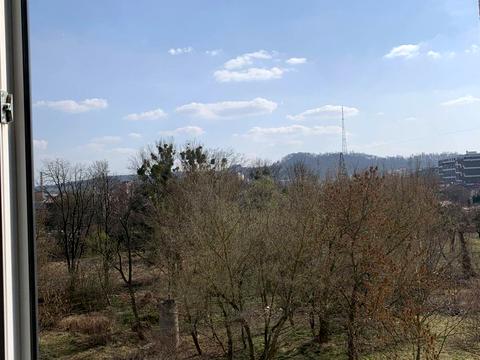 квартира за адресою Замарстинівська вул. (Калініна), 4