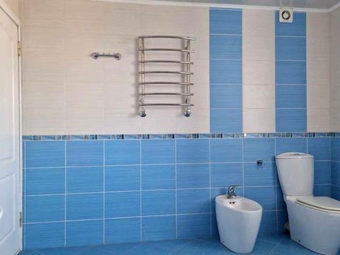 будинок за адресою с. Велика Солтанівка, Поліська, 21