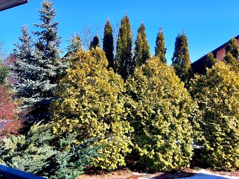 будинок за адресою с. Велика Солтанівка, Поліська, 21