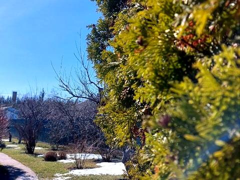 будинок за адресою с. Велика Солтанівка, Поліська, 21