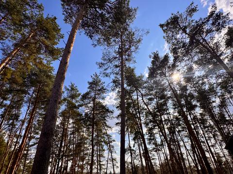 будинок за адресою Південна вул.