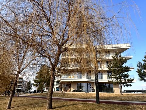 квартира по адресу  ул., 19