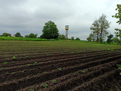 будинок за адресою Галана