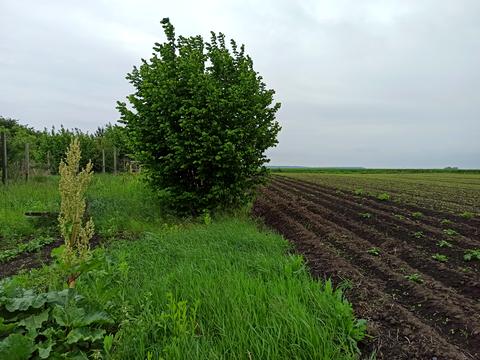 будинок за адресою Галана