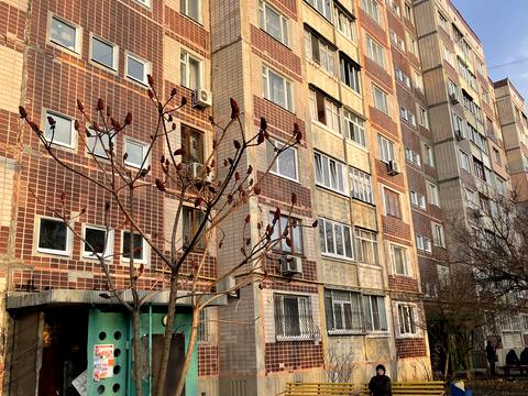 квартира за адресою Ньютона вул., 125/2