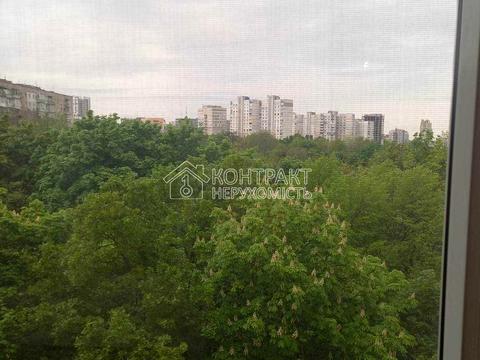 квартира за адресою Європейська вул. (Новгородська), 2