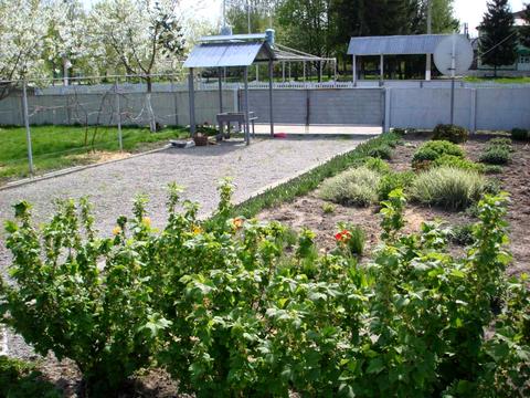 комерційна за адресою центральна, 10