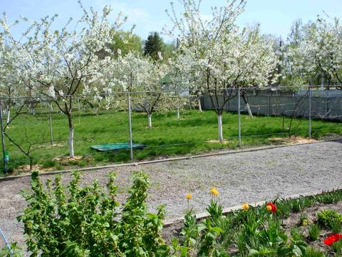 комерційна за адресою центральна, 10