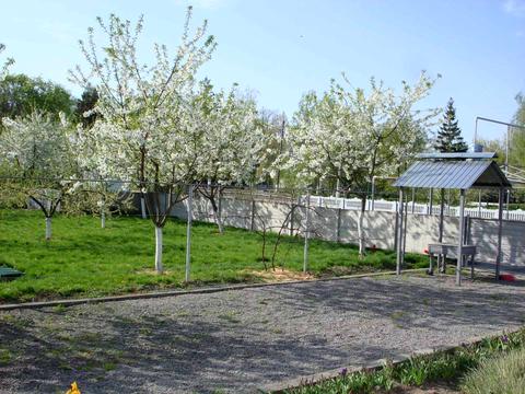 комерційна за адресою центральна, 10