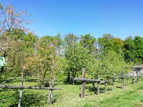 участок по адресу Сагайдачного, 45