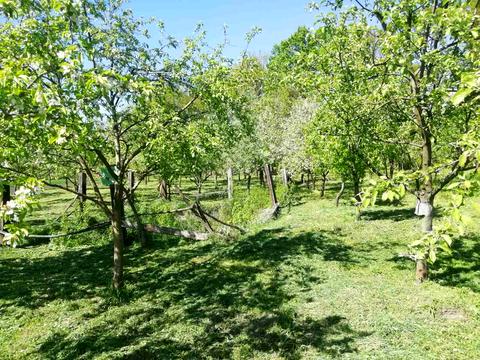 участок по адресу Сагайдачного, 45