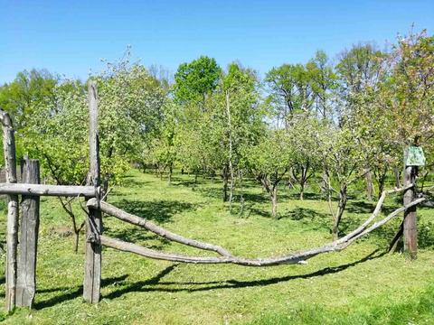 участок по адресу Сагайдачного, 45