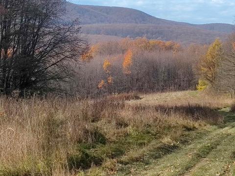 ділянка за адресою Копана Дорога