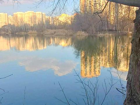 квартира за адресою Урлівська вул., 38-А