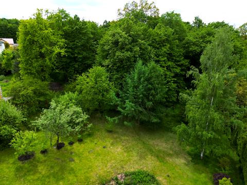 ділянка за адресою шевченка